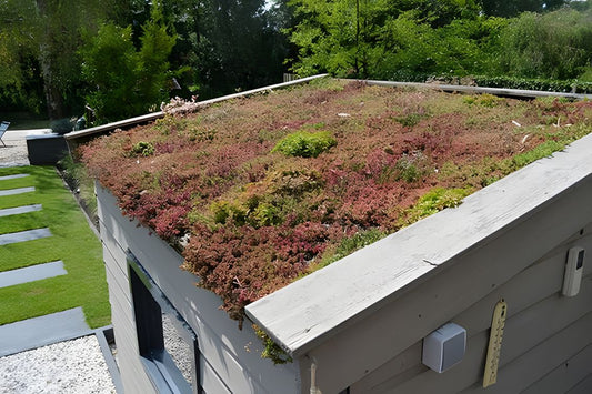 Subsidie beschikbaar sedum